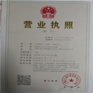 探索三家软件上海 上海软件代理与开发的领航者